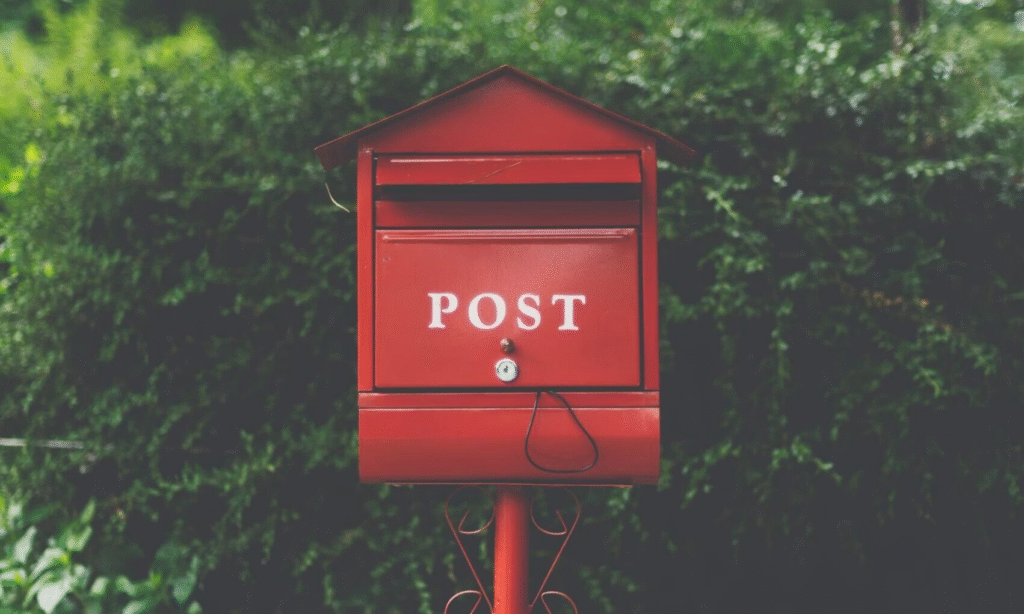 obraz 2025 09 26 190346461